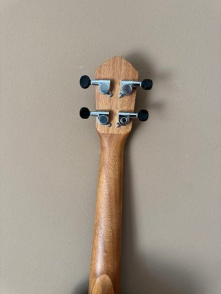 Ukulele Concerto Ortega