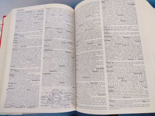 Il nuovo Zingarelli - vocabolario della lingua ita