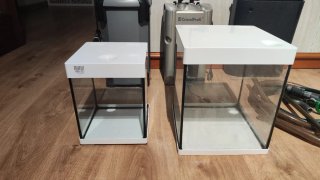 2 acuarios pequeños Con dos filtros grandes
