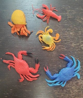 Lotto 5 granchi, crostacei, paguro