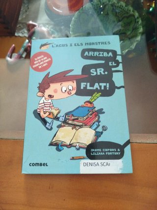Arriba el Sr. Flat!