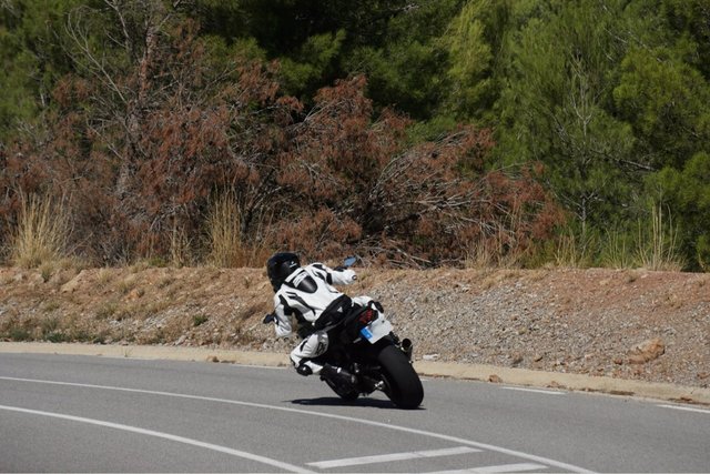 Monos y Chaquetas de Moto PSR todas las tallas