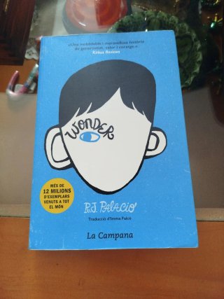 Wonder
