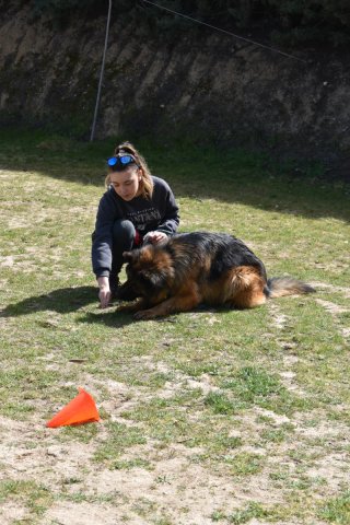 Adiestradora canina a domicilio
