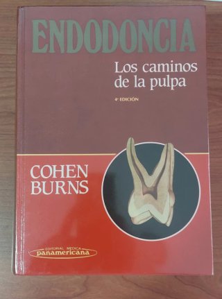 Endodoncia: los caminos de la pulpa