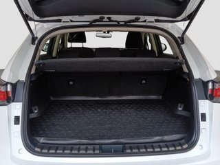 LEXUS NX 300h CORPORATE