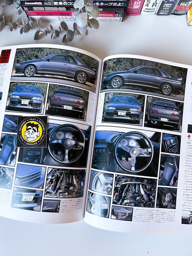 Libro Skyline GT-R Bros. R32/R33/R34