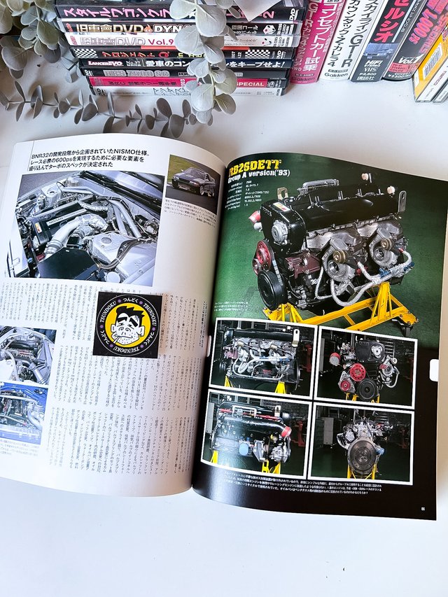 Libro Skyline GT-R Bros. R32/R33/R34