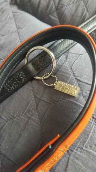 Coleira e Trela de Luxo para Cão