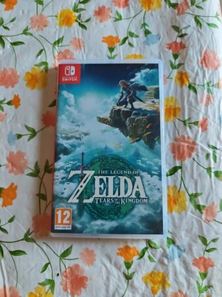 The Legend of Zelda: Tears of the Kingdom NSW