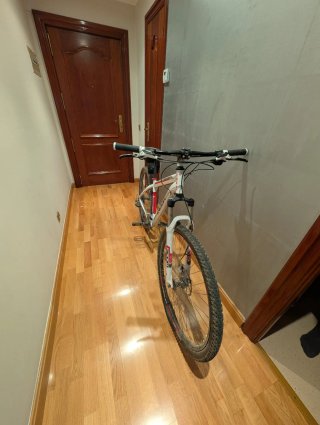 Bicicleta 29