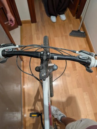 Bicicleta 29
