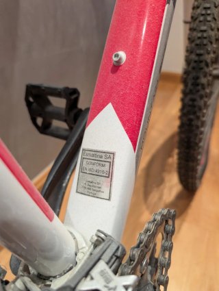 Bicicleta 29