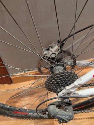 Bicicleta 29