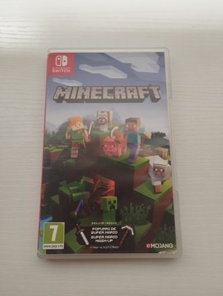 Minecraft Nintendo Switch