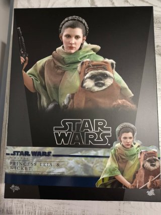 Hot Toys Princess Leia & Wicket Star Wars original