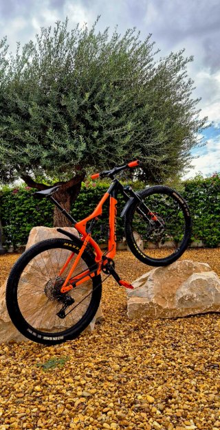 29"Mountain bike full suspensión Orbea Oiz