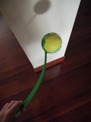 Lanzador de pelotas para perros