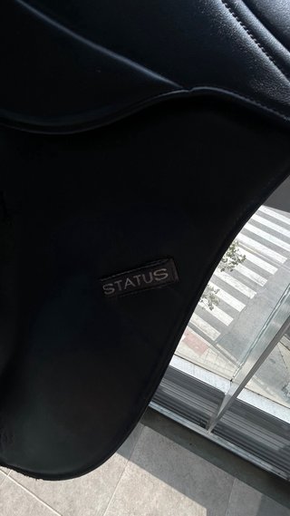 Silla de montar mixta Status 17