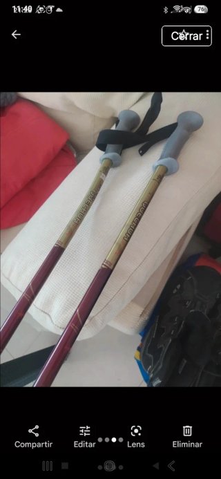 Bastones de esqui