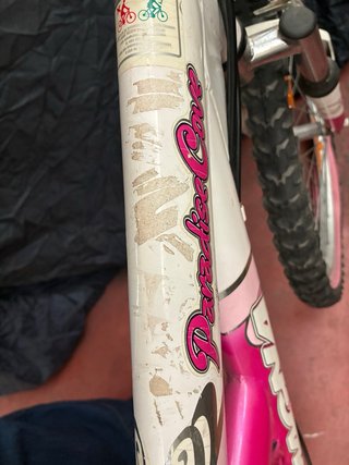 Bicicleta rosa
