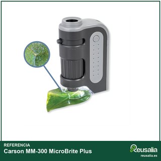 Microscopio tascabile Carson MicroBrite Plus