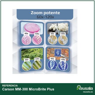 Microscopio tascabile Carson MicroBrite Plus