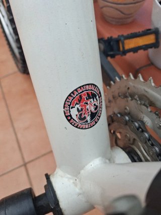 Bicicleta Infantil Boomerang