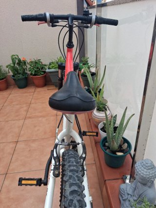 Bicicleta Infantil Boomerang