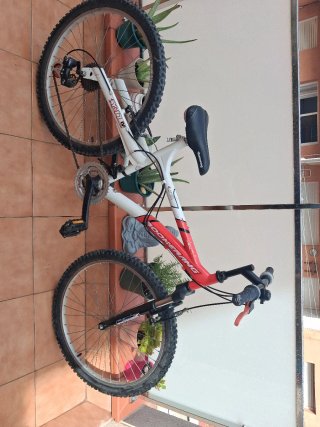 Bicicleta Infantil Boomerang