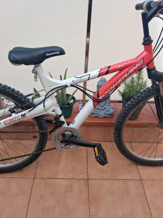 Bicicleta Infantil Boomerang