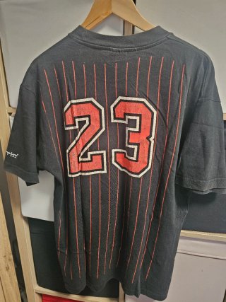 Camiseta nba Jordan Bulls 23 Champion