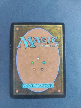Carta MTG Progenitus Conflux 2009 Idra 10/10 ITA