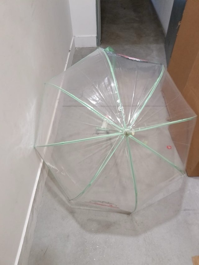 Paraguas Transparente Lovely Story