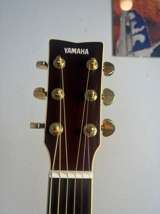Guitarra Acústica Yamaha LS16
