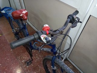 Bicicleta MTB Globe Trotter Azul