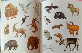 Libro Panorámico de los Animales: La Montaña
