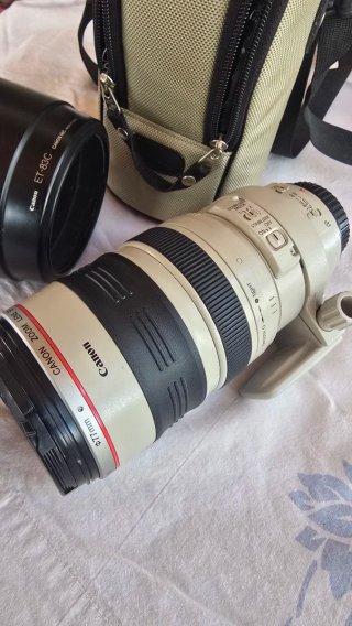 Canon EF 100-400 mm 1:4.5 - 5.6 L IS USM