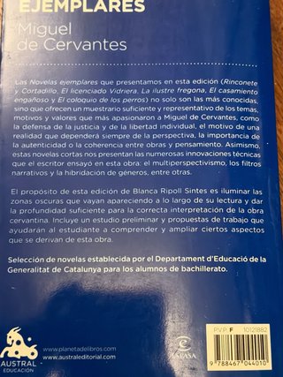 Novelas ejemplares (selección) Rinconete y Cort...