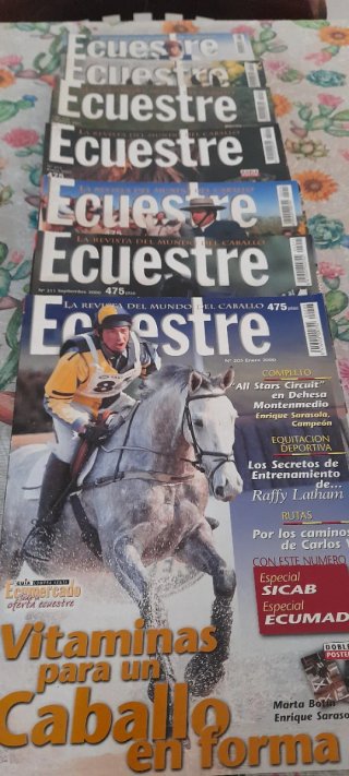 Lote Revista Ecuestre