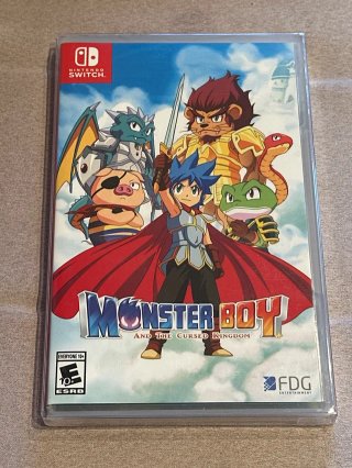 Monster Boy and the Cursed Kingdom Switch