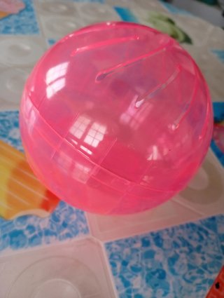 BOLA DE EJERCICIO PARA HAMSTER