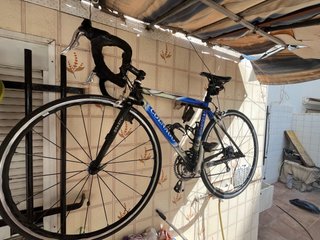 Colnago Dream Clásica Italia