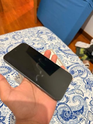 Google Pixel 9 Pro XL Negro/Gris