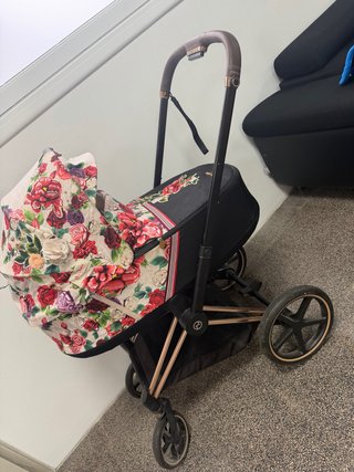 Cochecitos Bebé Cybex Priam Special Edition+otros
