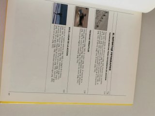 Lote dos libros de fotografía
