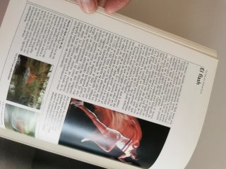 Lote dos libros de fotografía