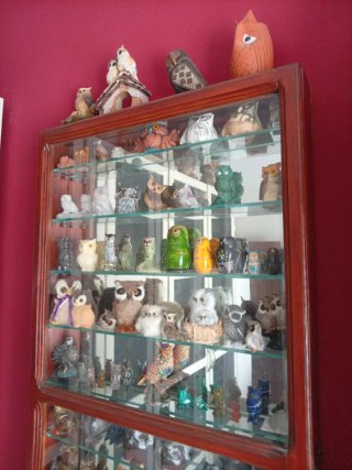 Collezione 54 Gufi - Gufi. 1