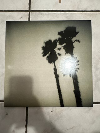 Vinile The Twilight Singers - Indie