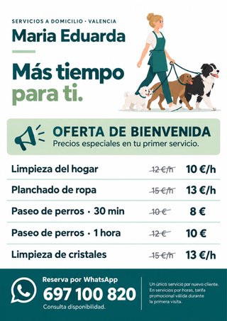 Limpieza, planchado y paseo de perros en Valencia
